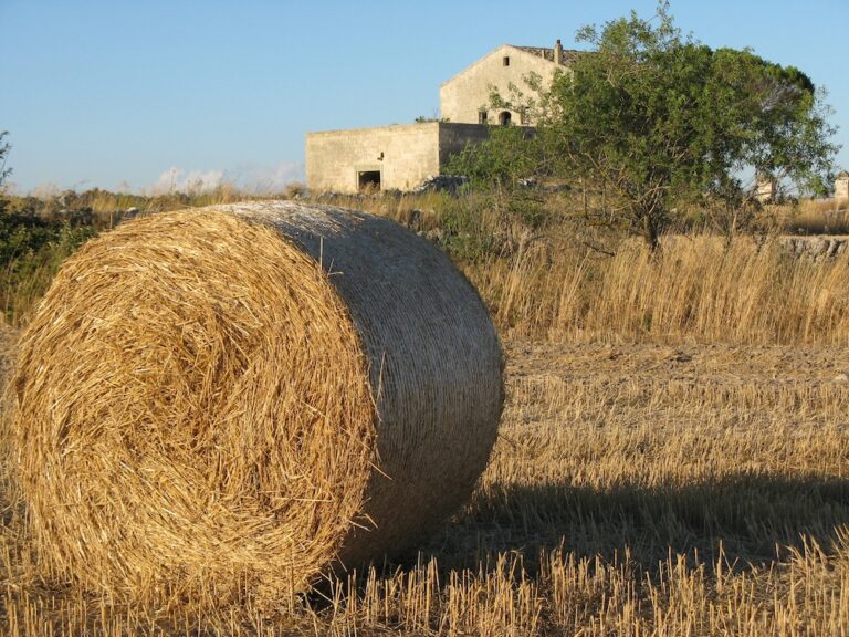 “Suoni ed Esperienze sulla Via Francigena”, a Corato la conferenza stampa di presentazione