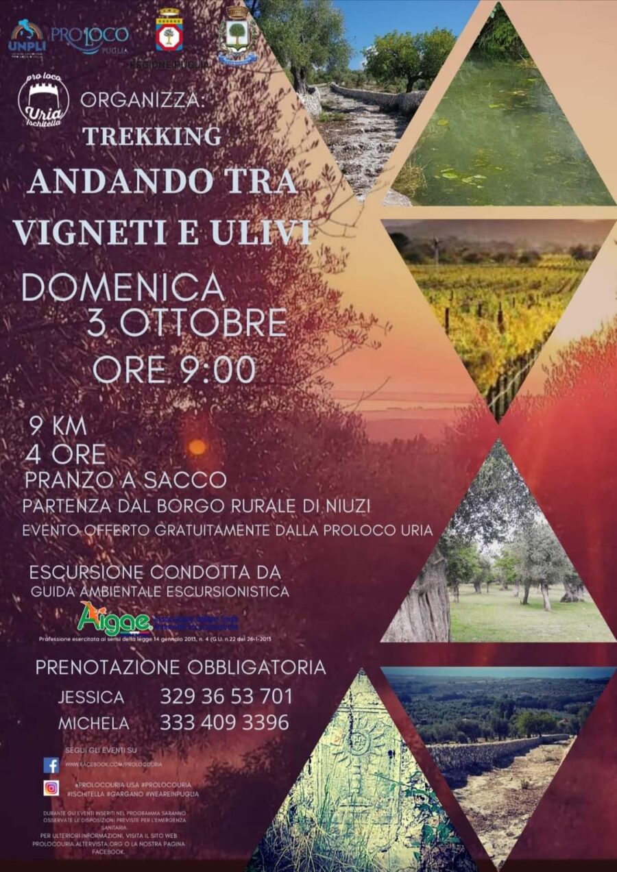 Ischitella (FG) – Andando tra ulivi e Vigneti Ischitella (FG) – Andando tra ulivi e Vigneti