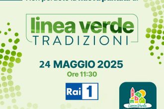linea.jpeg